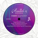 Fomatic - Delayed Expressions (Nachtamt Hyperbolic Ambience Remix)