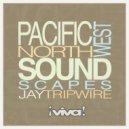Jay Tripwire - The Trouble With Mysterio (Original Mix)