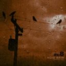 mi-8 - Acid Rain