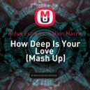 Kolya Funk vs. Calvin Harris - How Deep Is Your Love (Dj Ян Yankovskiy Mash Up) (Dj Ян Yankovskiy Mash Up)