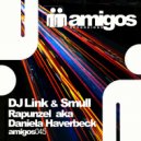 DJ Link & Smull - Madness