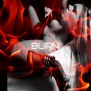 Thomas Hayden, Mr. Saccardo (Ft. Elly Ray) - Burn (Harmoony Remix)