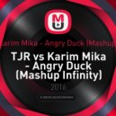 TJR vs Karim Mika - Angry Duck (Mashup Infinity) (TJR vs Karim Mika - Angry Duck (Mashup Infinity))