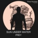 Sun Under Water - Natural High