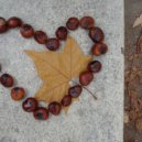 Dan InJungle - We like dance! (Original version)