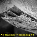 NETiZuma? - Split (to GAV) (Original Mix)