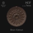 Keif - Brain Extract (Teoss Remix)