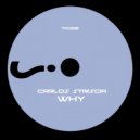 Carlos Striscia - Why (Original mix)