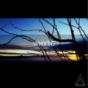 SRA - Yellow