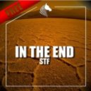 STF - In The End (Original Mix)