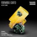 Fernando Curto - Acid Funk (Original Mix)