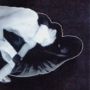 Crystal Castles - Transgender