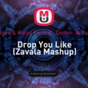 Delax & Kolya Funk & Demm & Yozo - Drop You Like (Zavala Mashup)