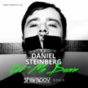 Daniel Steinberg - Let Me Down (Sharapov Remix)