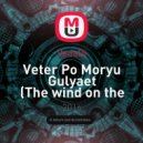 VadaDj - Veter Po Moryu Gulyaet