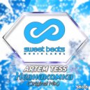 Artem Tess - Незнакомка