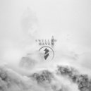 Swellow - Haven