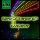Mallabar - Step Of Trance (Original Mix)