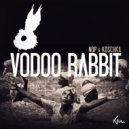 Koschka - Voodoo (NOP Remix)