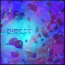 Disect - Xylem and Phloem (Original Mix)