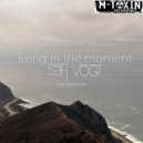 Seth Vogt - Living In The Moment