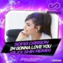 Sofia Carson - I\'m Gonna Love You (Alex Shik Remix)