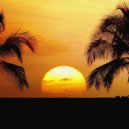 by mr. Hnuk - ALOHA ()