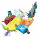 Madetomove - Implicate Order