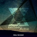 Rhythmic Plane - From The Roof ()