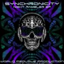 Synchronicity - Ancient Aliens (Original mix)