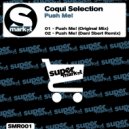 Coqui Selection - Push Me! (Dani Sbert Remix)