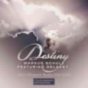 Markus Schulz & Delacey - Destiny