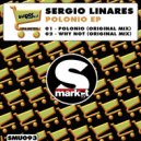 Sergio Linares - Why Not (Original Mix)