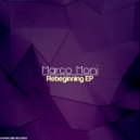 Marco Moni - Newroom