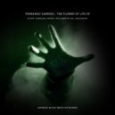 Fernando Garrido - The Flower Of Life (Original mix)