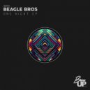 Beagle Bros - One Nights (Roma de Cicco Remix)