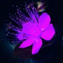 Urbanite feat. Ashleigh. - Sober