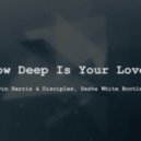 Calvin Harris, Disciples - How Deep Is Your Love