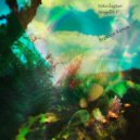 Saturday Sun - Seagull (Brascon Remix)