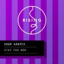 Sour Grapes - Stay For Now (Chris Lake & Marco Lys Remix) (Chris Lake & Marco Lys Remix)