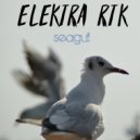 Elektra-RTK - Aura (Original Mix)