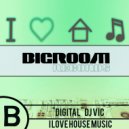 "DIGITAL" DJ VIC - I Love House Music ()