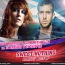 Calvin Harris ft. Florence Welch vs. DJ Zarubin & DJ Chippon - Sweet Nothing (Dj Nilov Boot-Up)