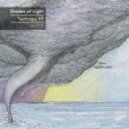 Shades of Light - Behavioral Techrapy (Comuno Remix)