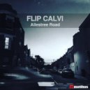 FLIP CALVI - Afternoon (Original mix)