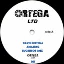 David Ortega - Amazing