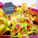 Pineal - Elfik Machine