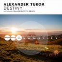 Alexander Turok - Destiny (Original Mix)