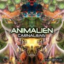 Animalien & Seggae - Alien Meeting (Original mix)