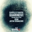 Garillo Densek - Quarknosis (Justin Schumacher Remix)